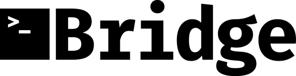 Bridge logo